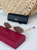 Cartier CT0433S Sunglasses
