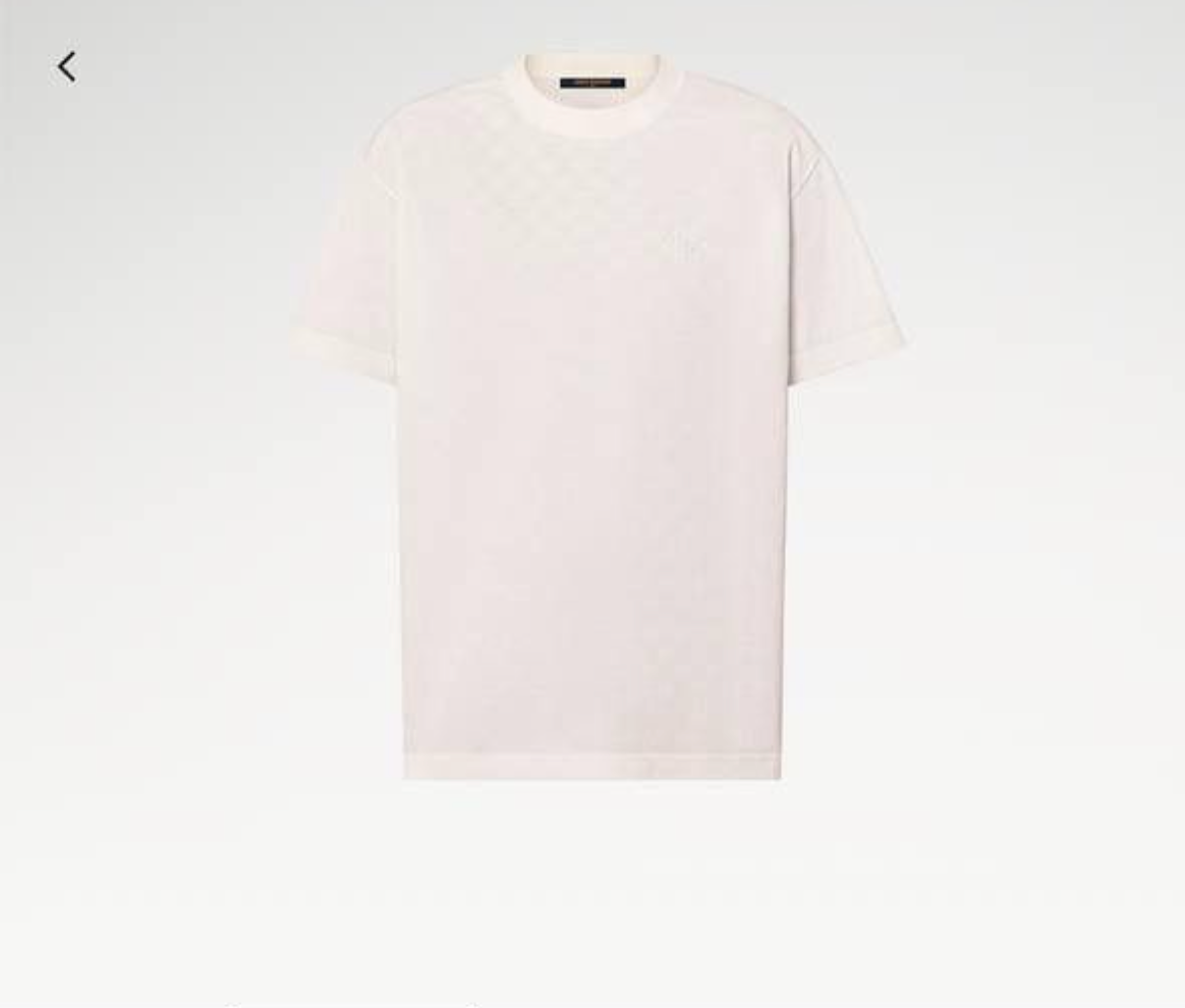 Louis Vuitton Embroidered Signature T-Shirt