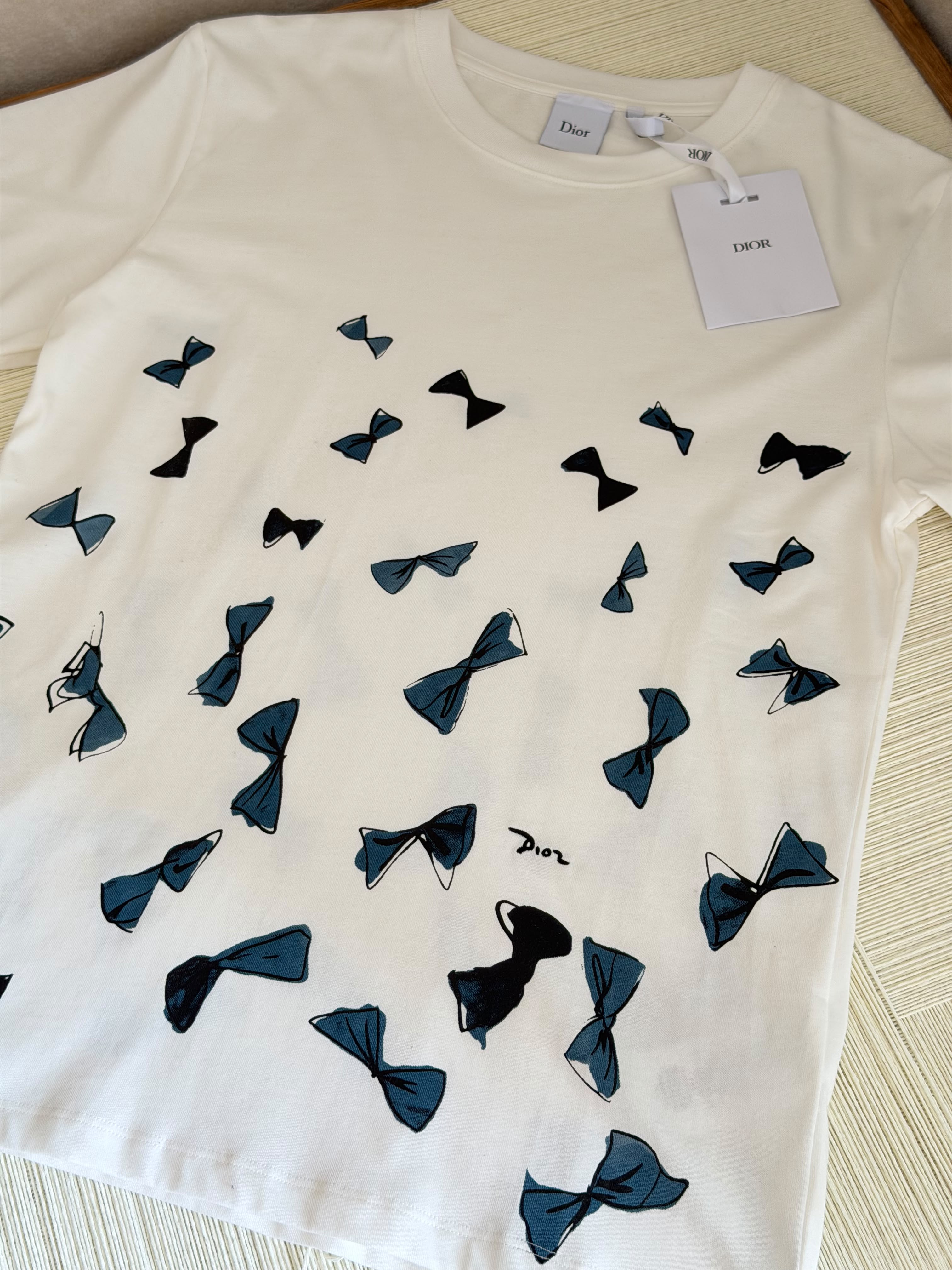 Dior Dioriviera Oversized T-Shirt