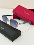 Cartier CT0439S Rectangle Sunglasses