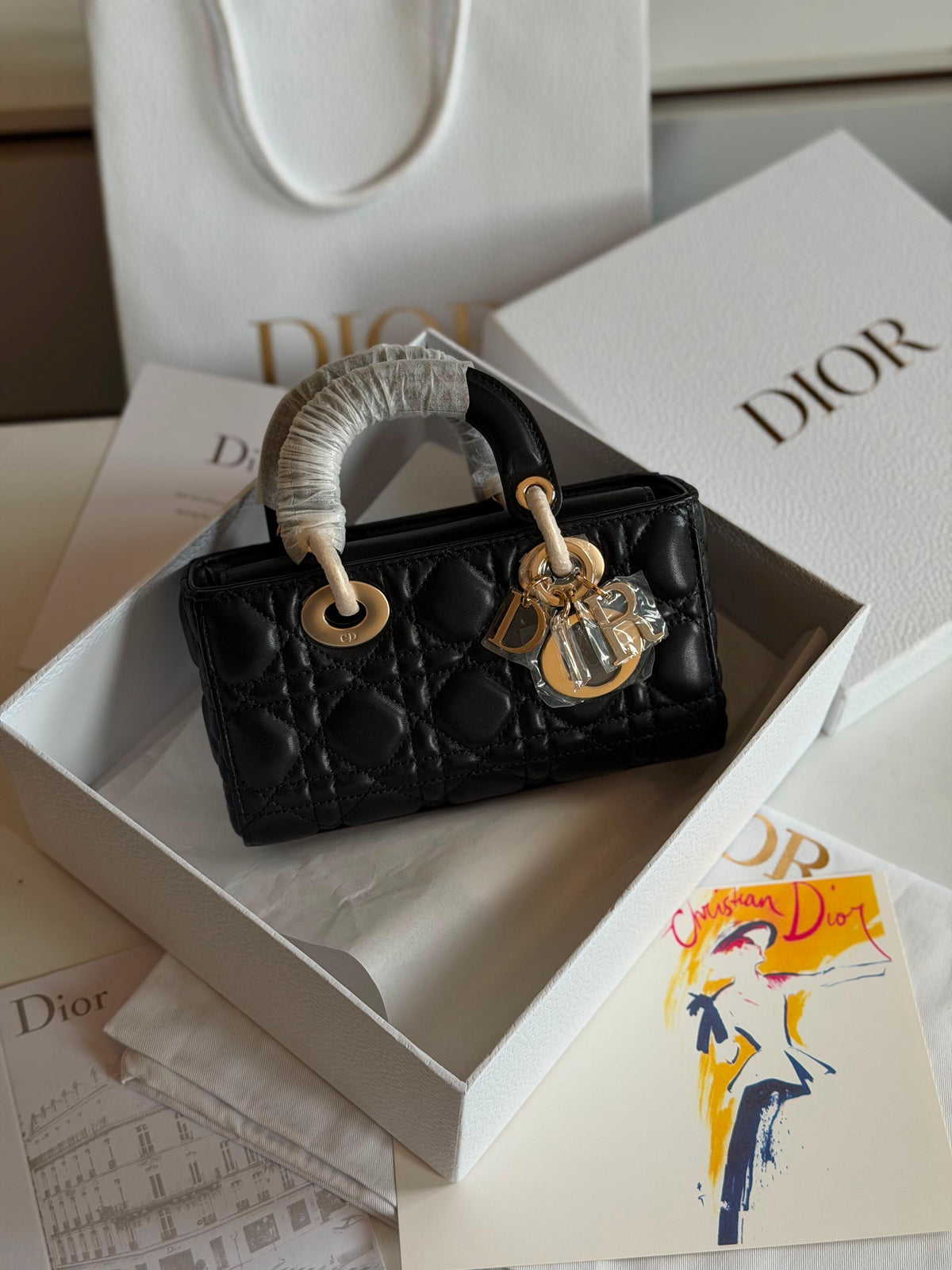 Dior Lady D-Joy Micro Bag
