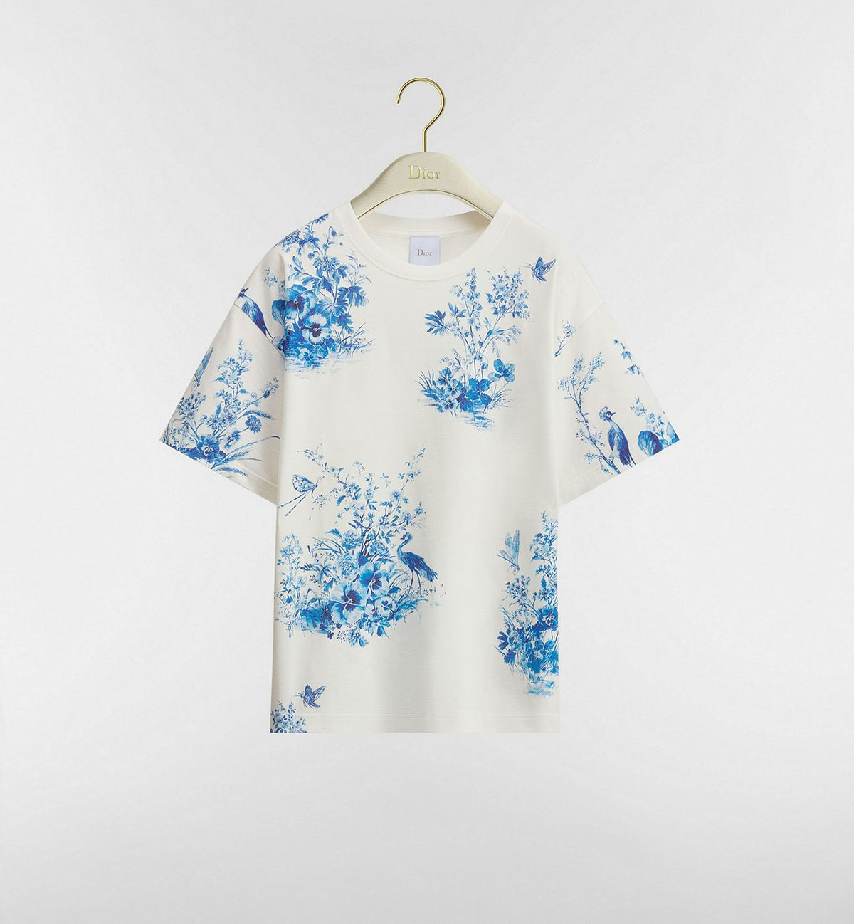 Dior iviera Oversized T-Shirt