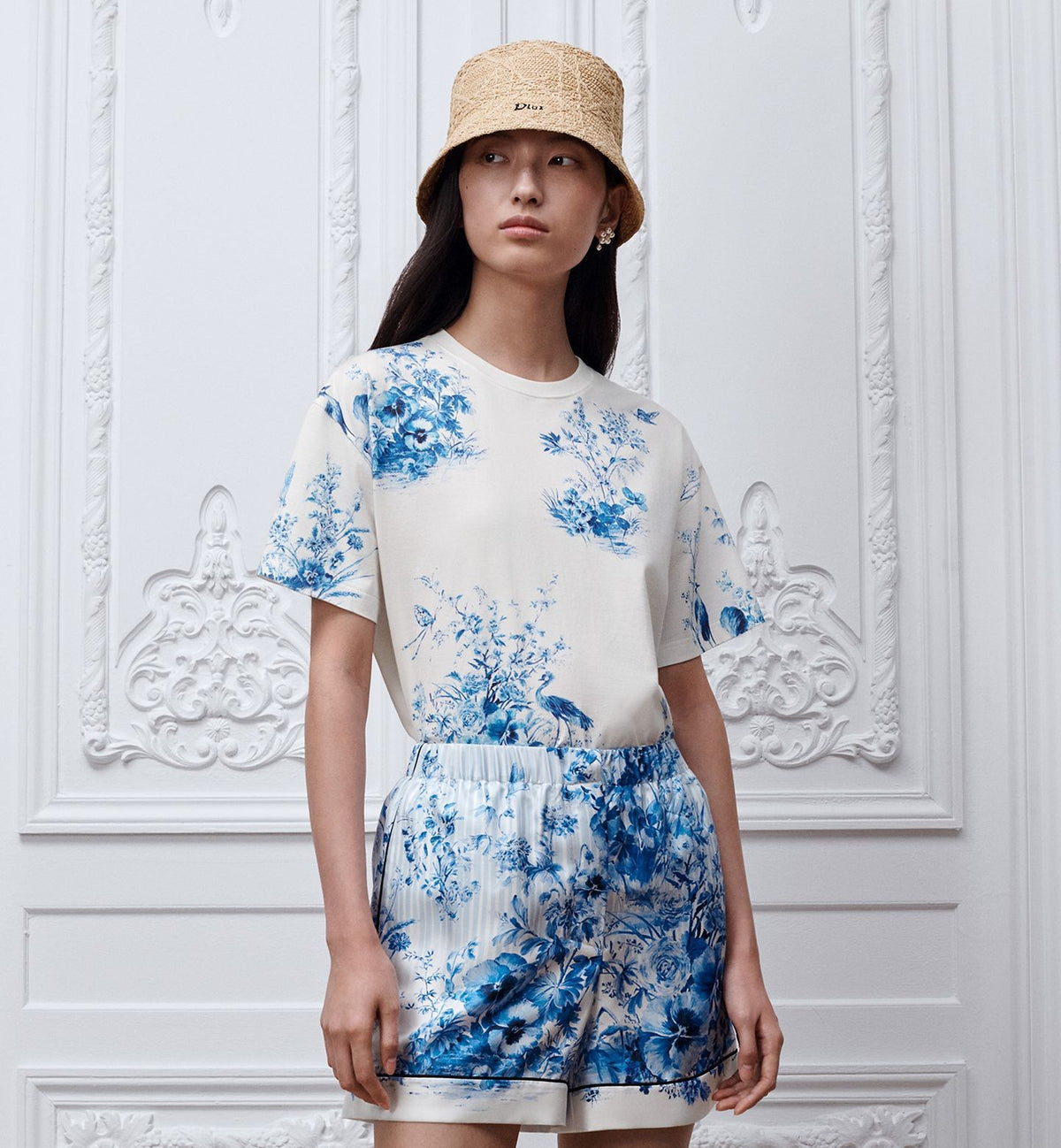 Dior iviera Oversized T-Shirt