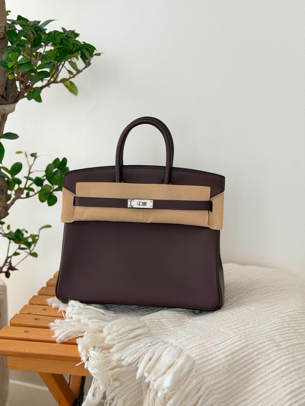 Hermes Birkin Handbag (25 Cm)