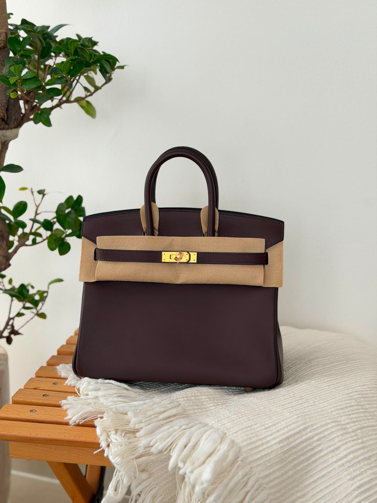 Hermes Birkin Handbag (25 Cm)