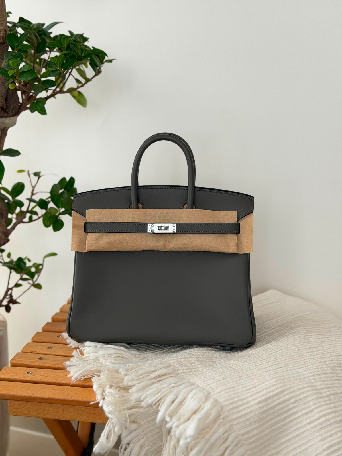 Hermes Birkin Handbag (25 Cm)