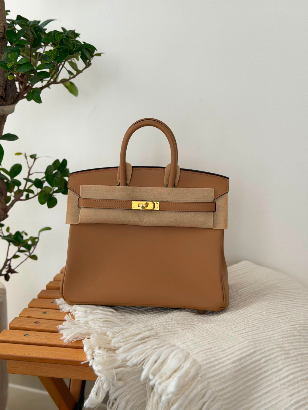 Hermes Birkin Handbag (25 Cm)