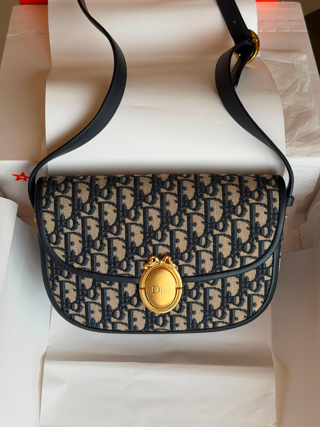 Dior Médaillon Flap Bag