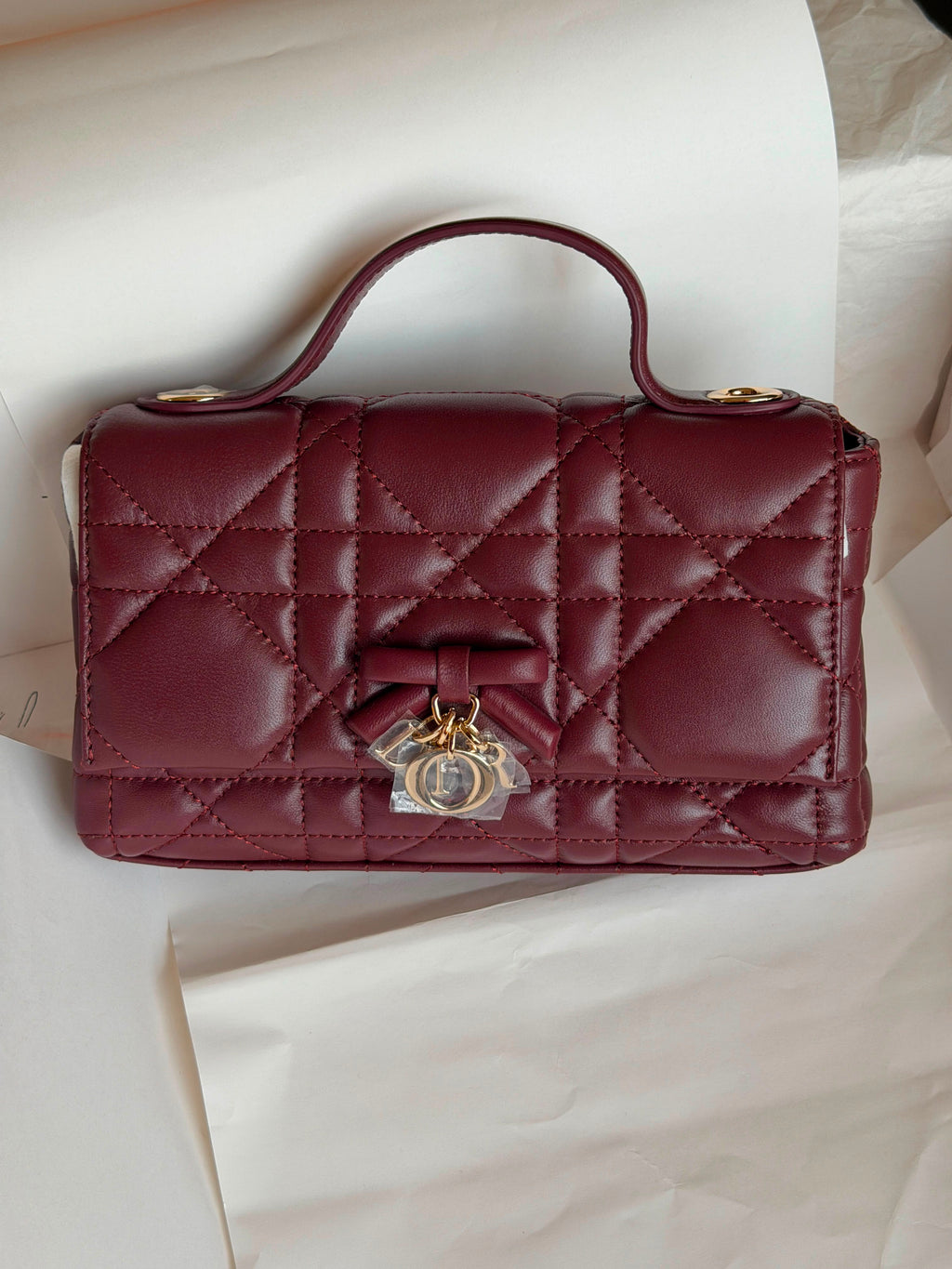 My Tender Dior Top Handle Mini Bag