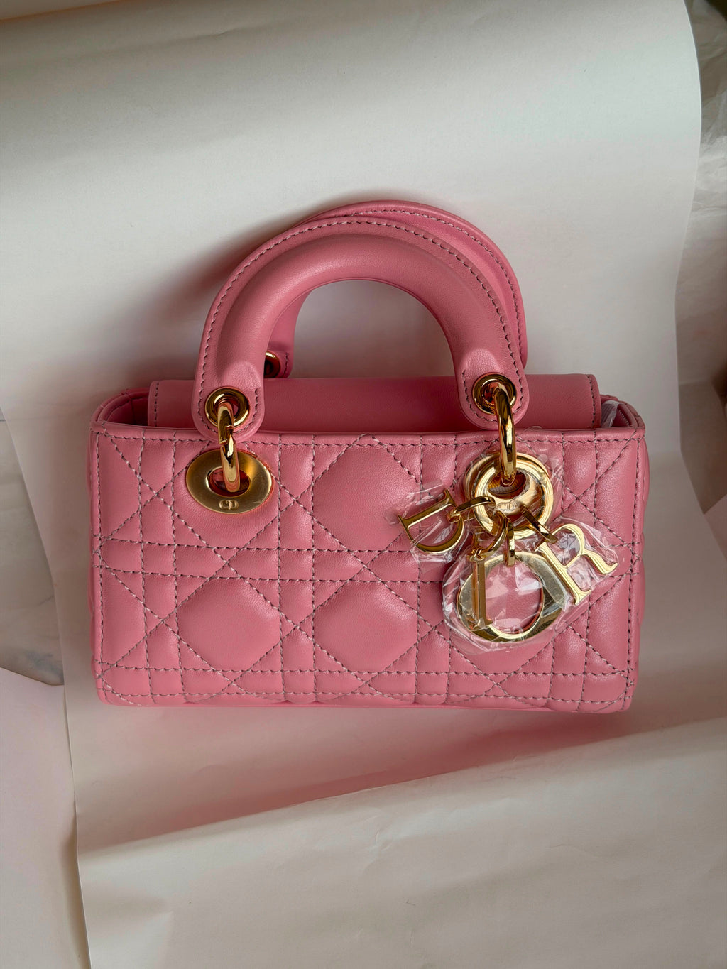 Christian Dior Lady D-Joy Bag