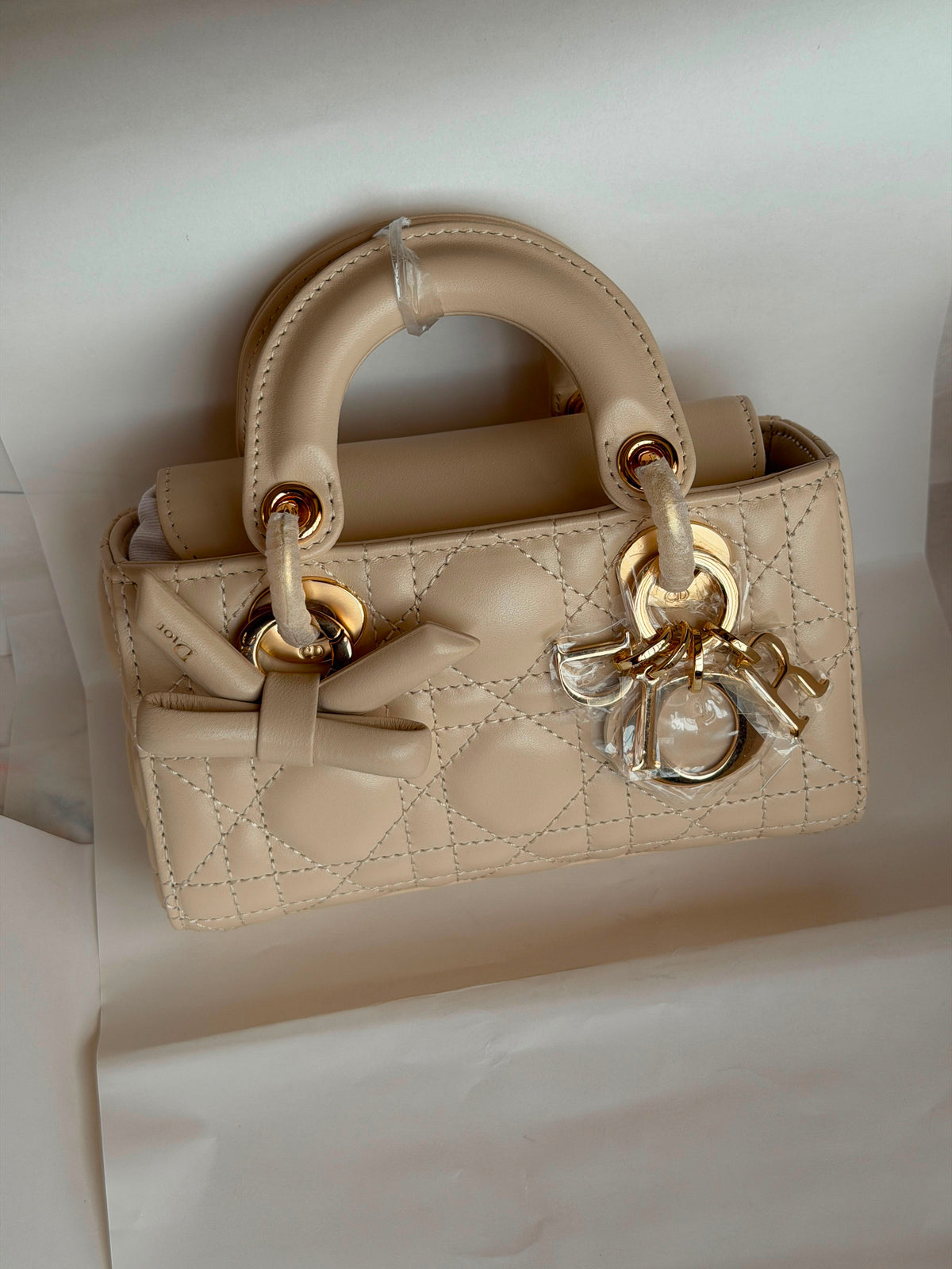 Christian Dior Lady D-Joy Bag