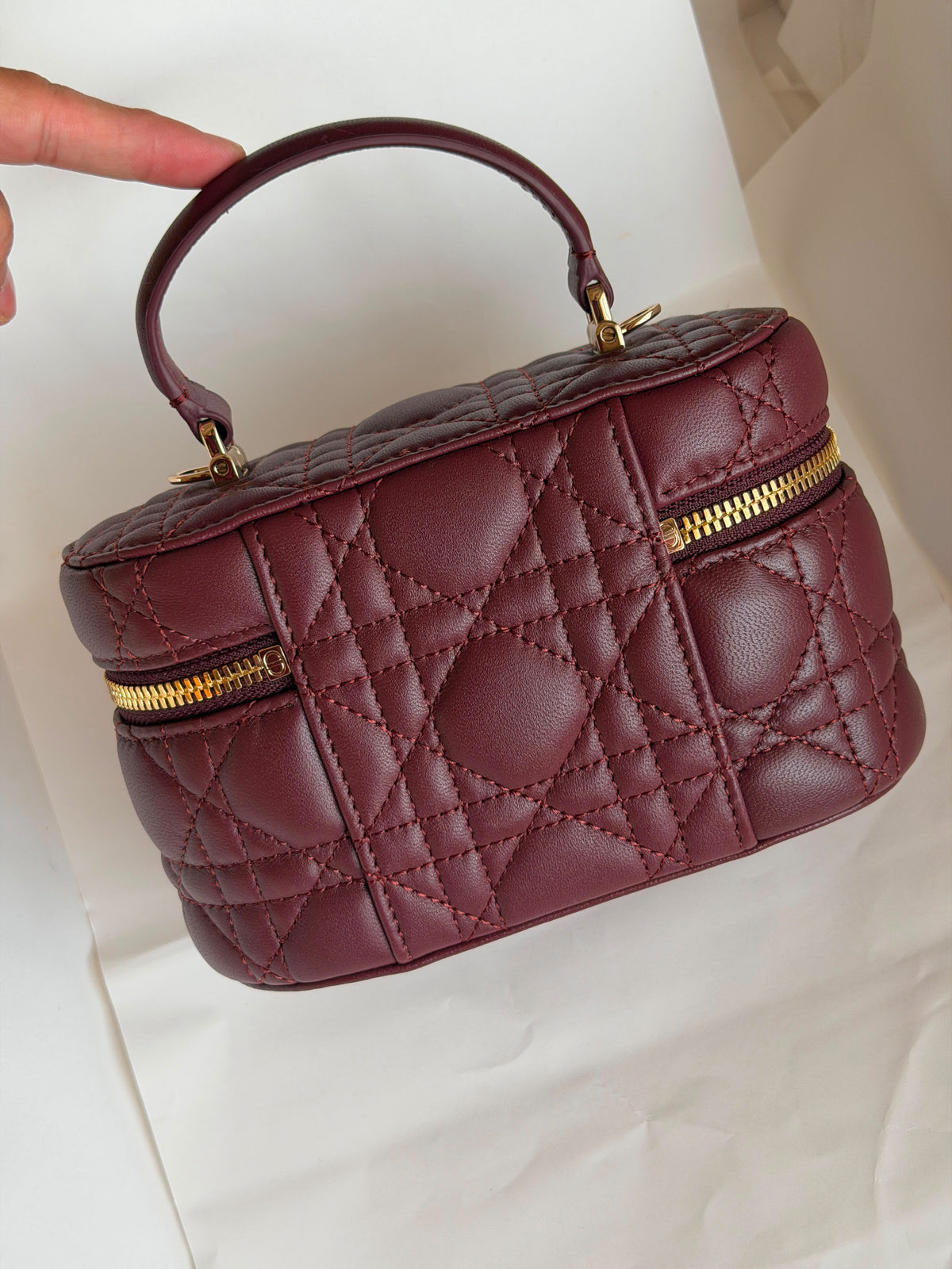 Dior Caro Mini Vanity Cases Bag