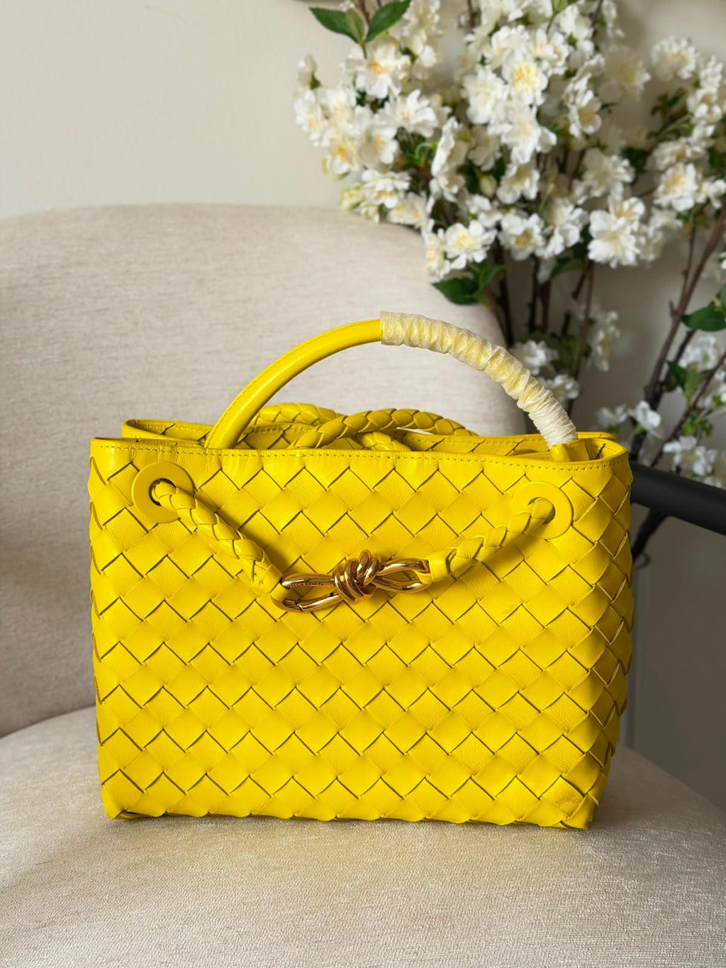 Bottega Veneta Small Andiamo