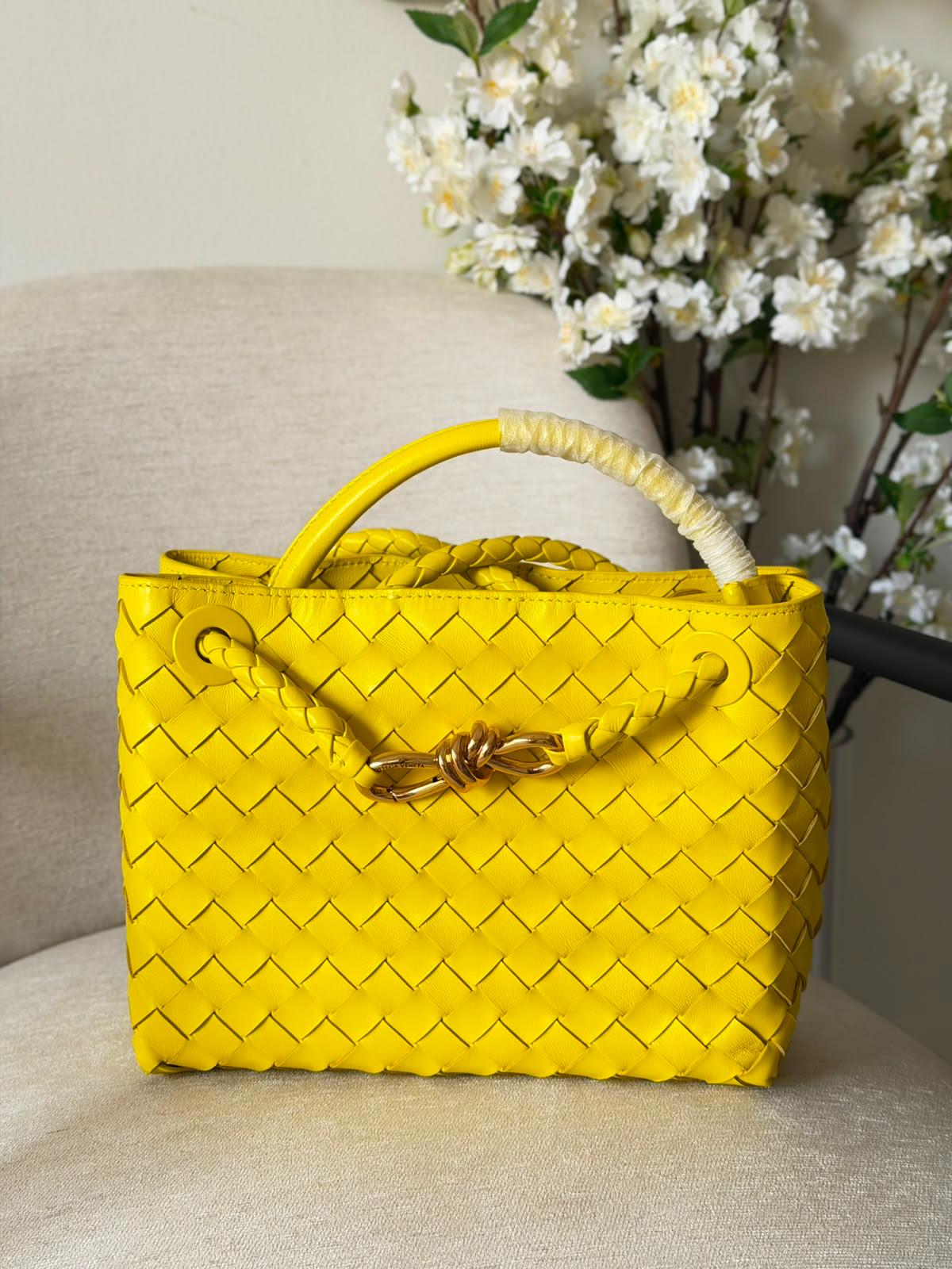 Bottega Veneta Small Andiamo