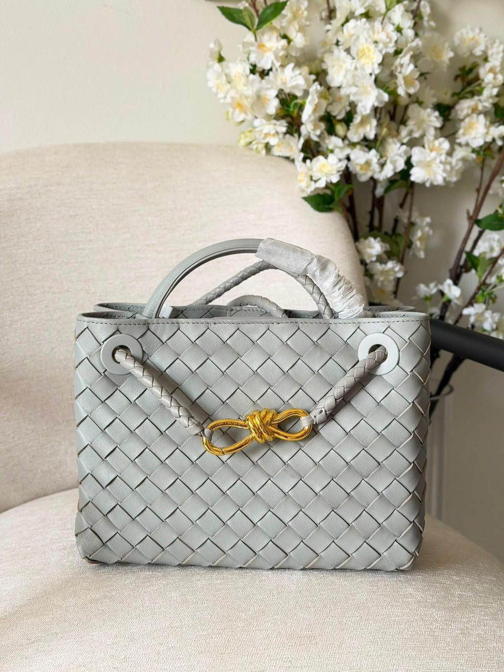Bottega Veneta Small Andiamo