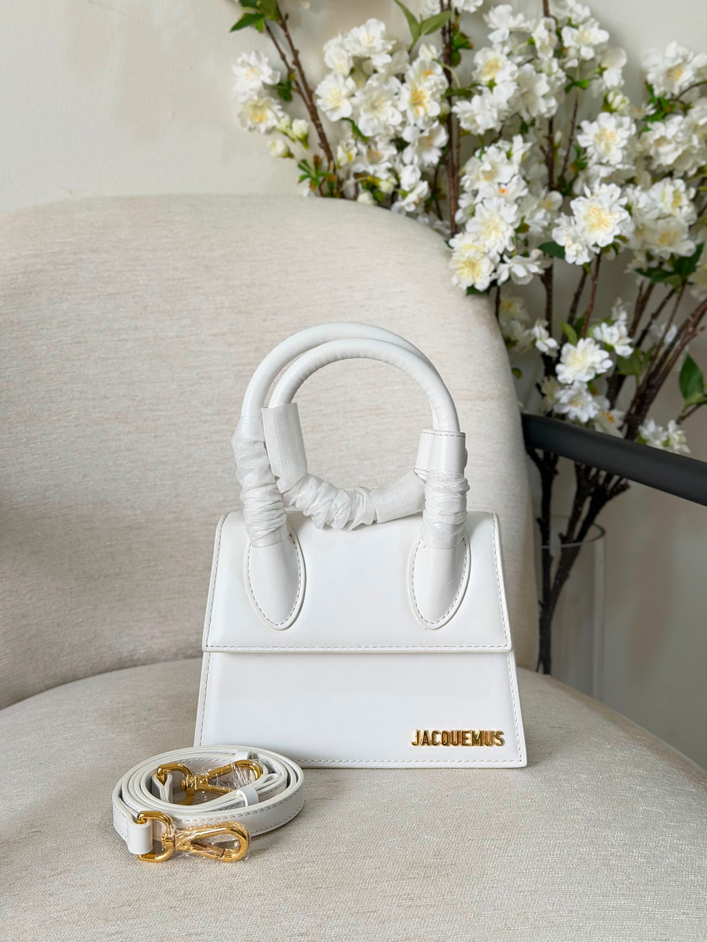 Jacquemus Le Chiquito Bag