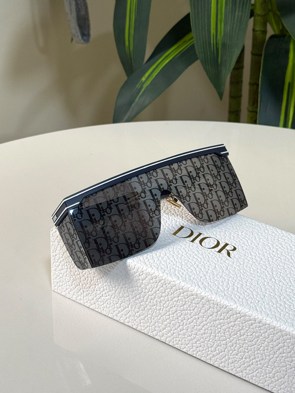 Dior DiorClub M1U Shield Sunglasses
