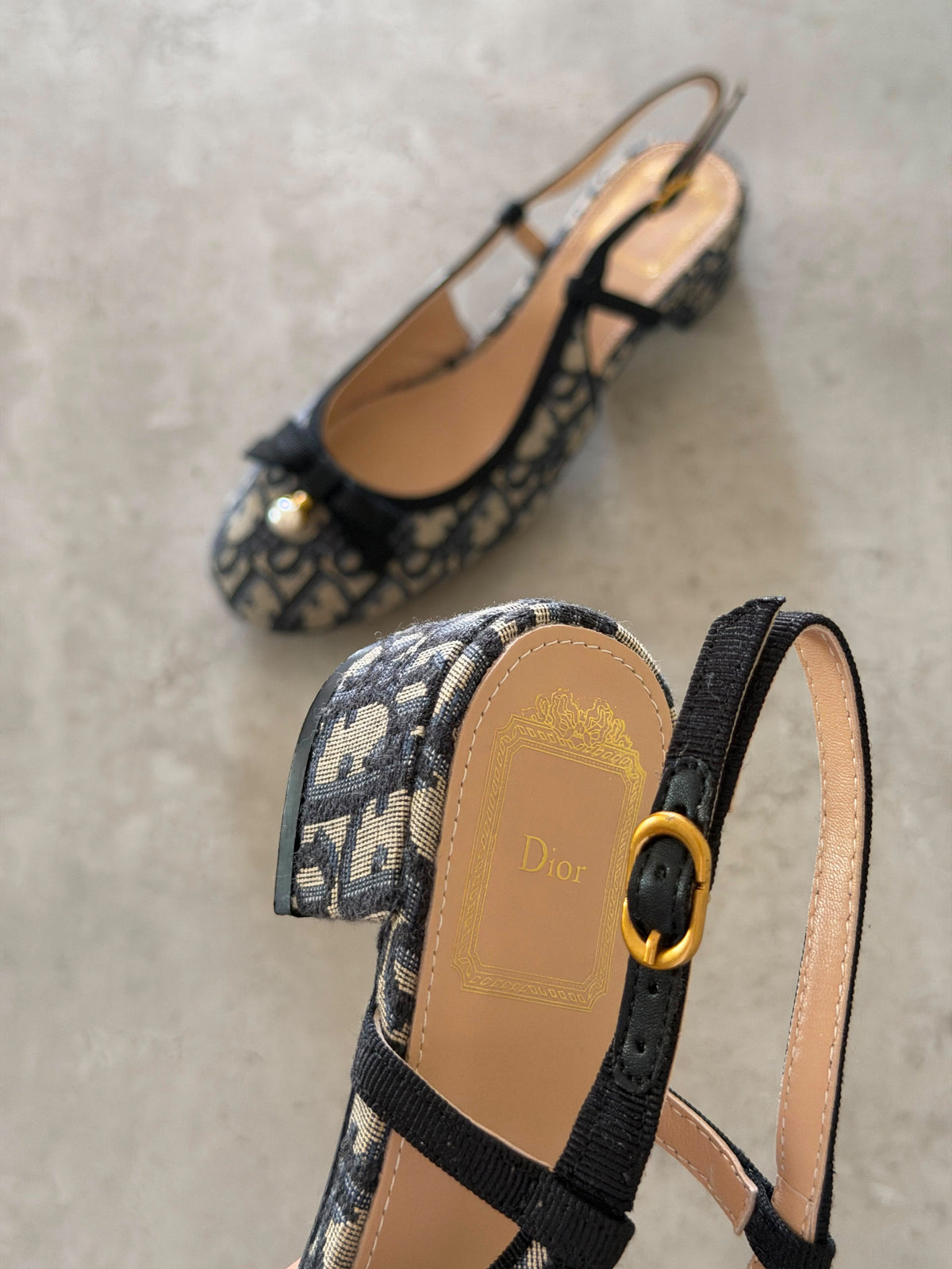 Dior Ballet Slingback Pumps
