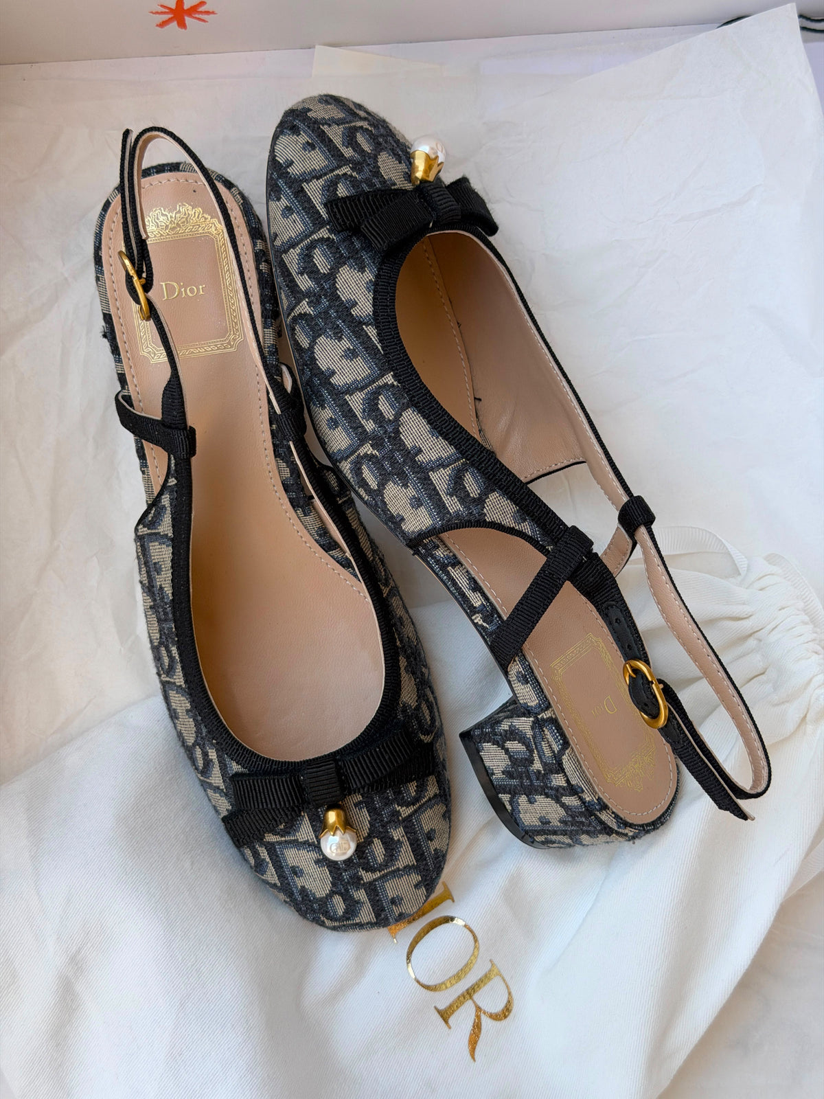 Dior Ballet Slingback Pumps