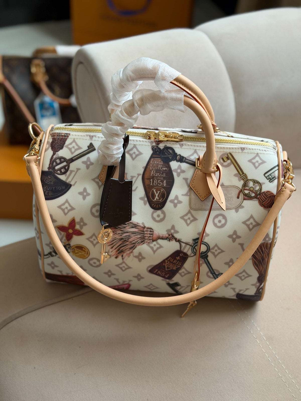 Louis Vuitton Speedy Soft Bag (30 Cm)