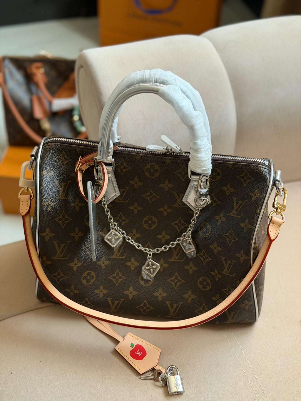 Louis Vuitton Speedy Soft Bag (30 Cm)