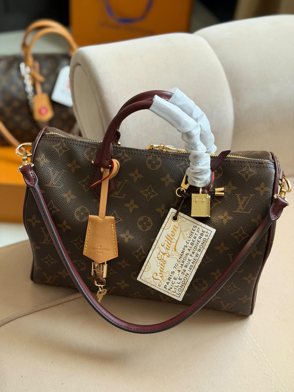 Louis Vuitton Speedy Soft Bag (30 Cm)