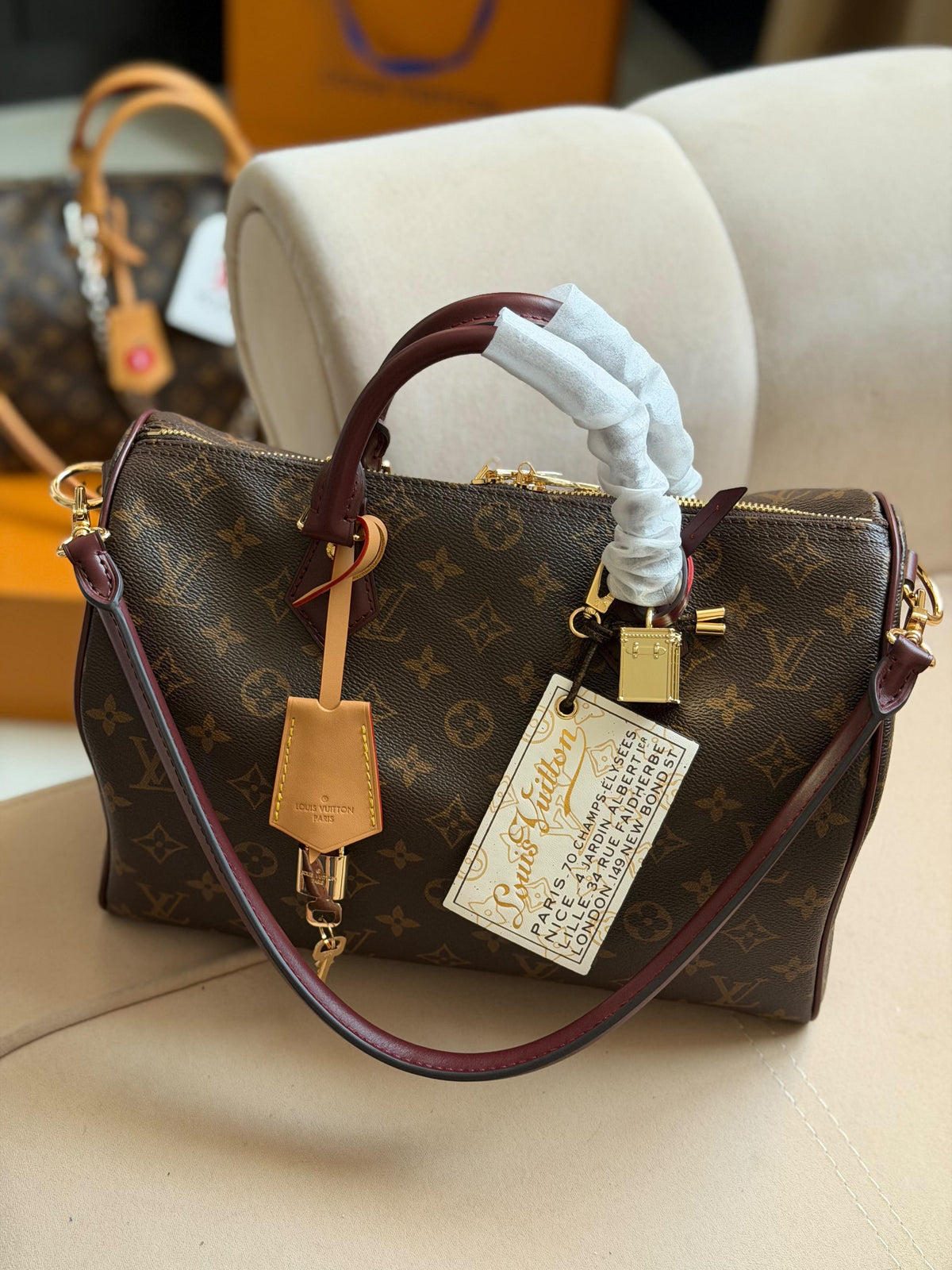 Louis Vuitton Speedy Soft Bag (30 Cm)