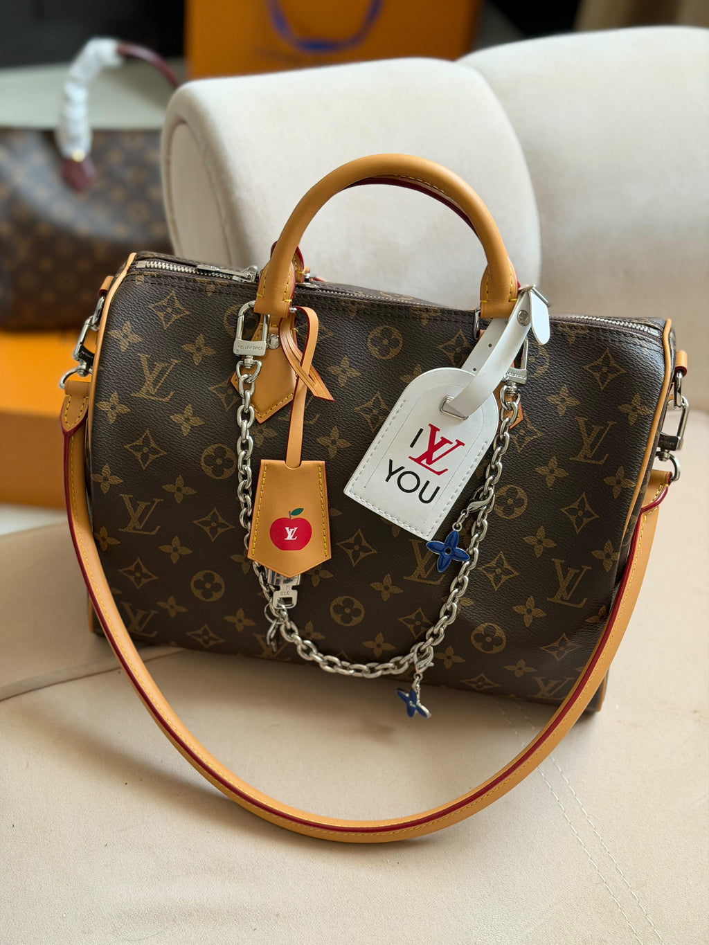 Louis Vuitton Speedy Soft Bag (30 Cm)