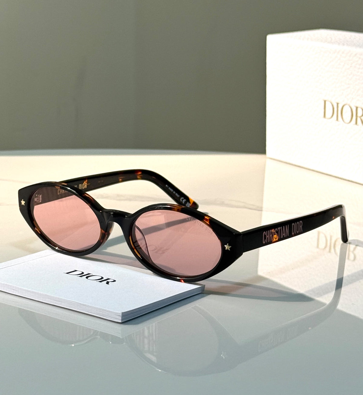 Dior DiorPacific R1I Oval Sunglasses
