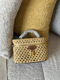 Louis Vuitton Vanity Chain Pouch in Raffia Bag