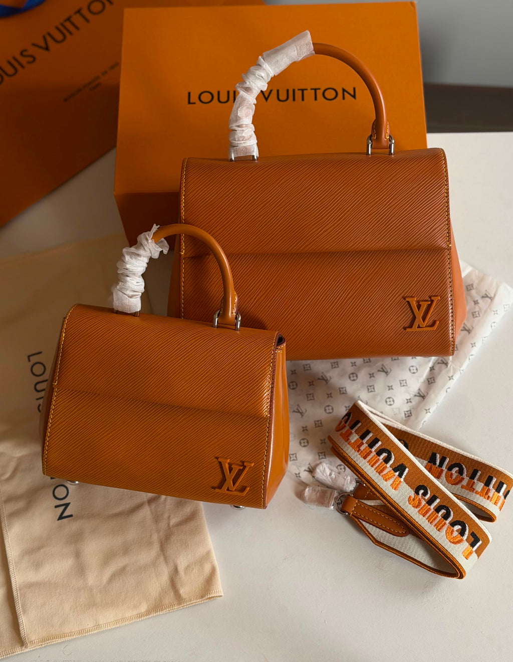 Louis Vuitton Cluny Handbag