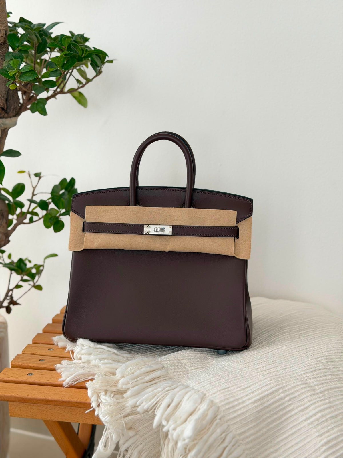 Hermes Birkin Handbag (25 Cm)