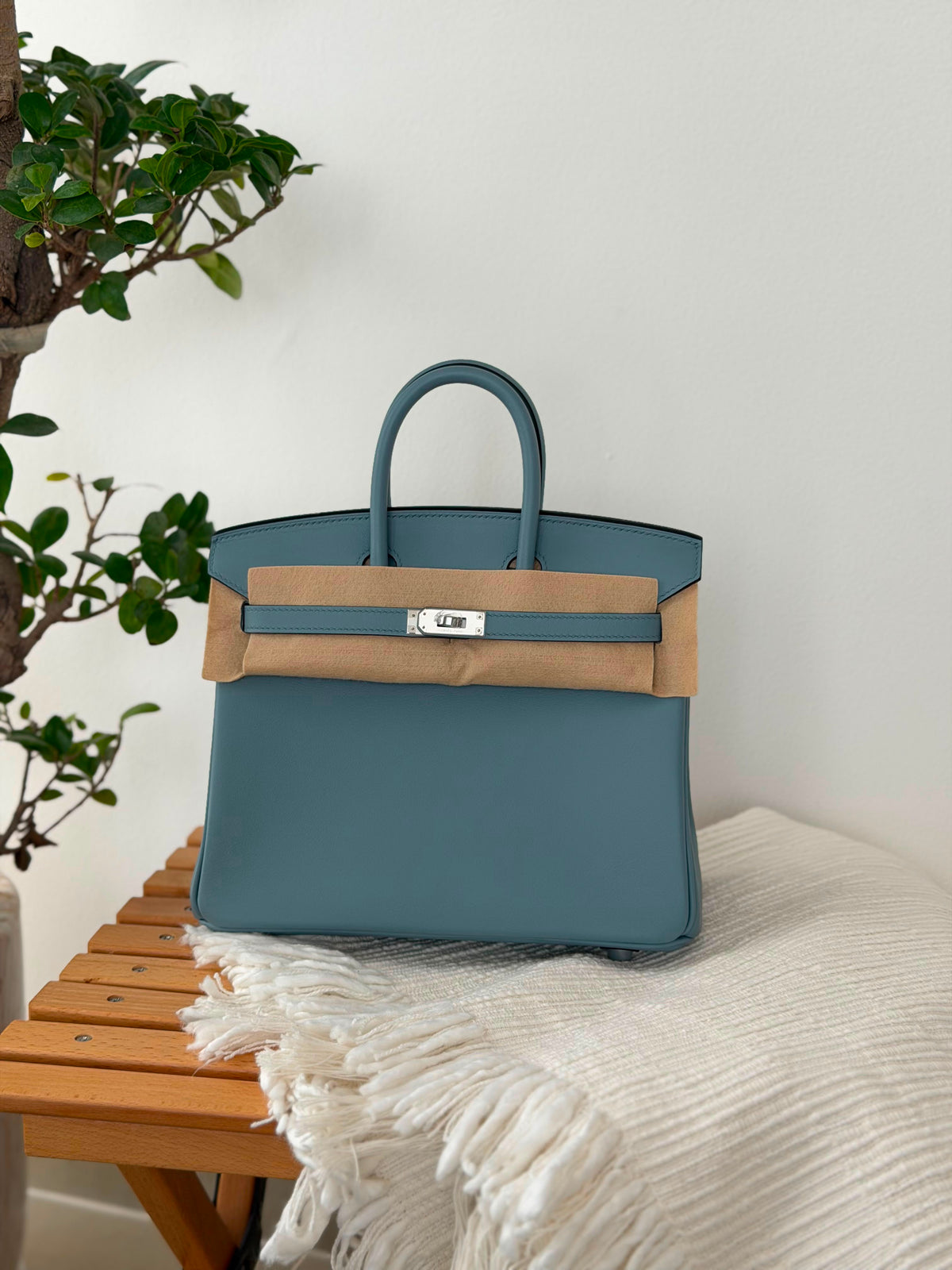 Hermes Birkin Handbag (25 Cm)