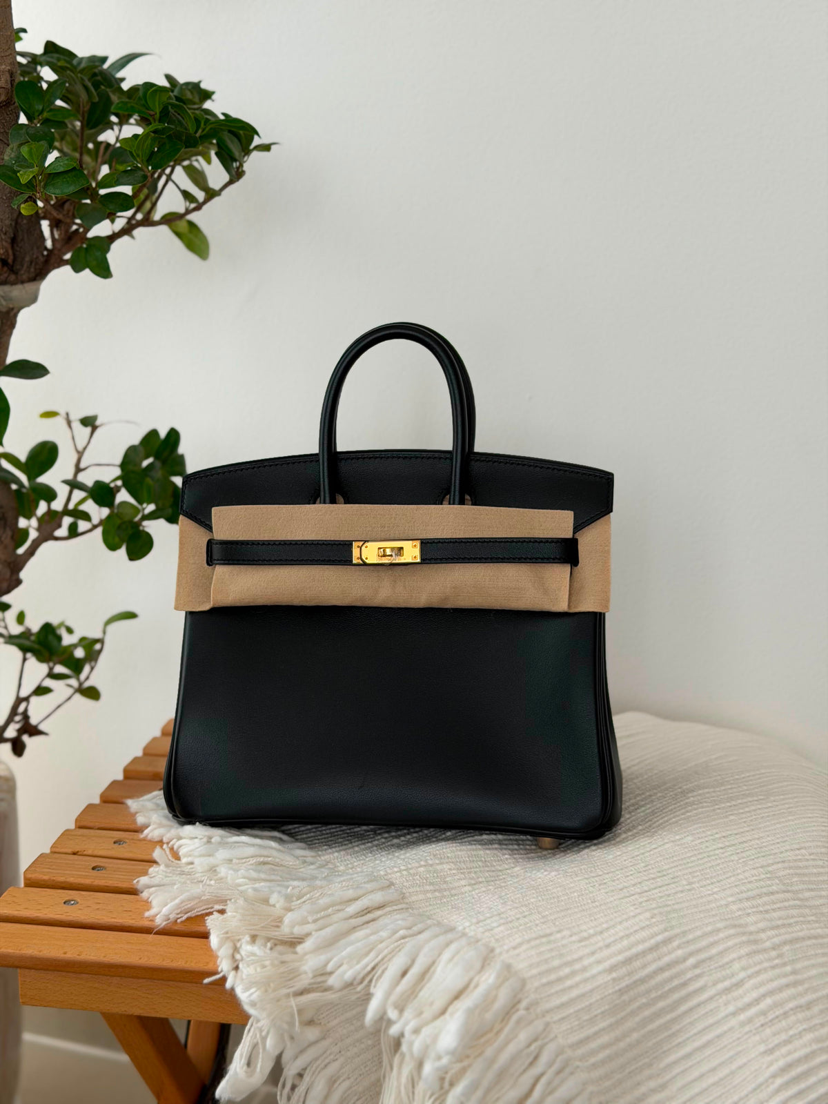 Hermes Birkin Handbag (25 Cm)