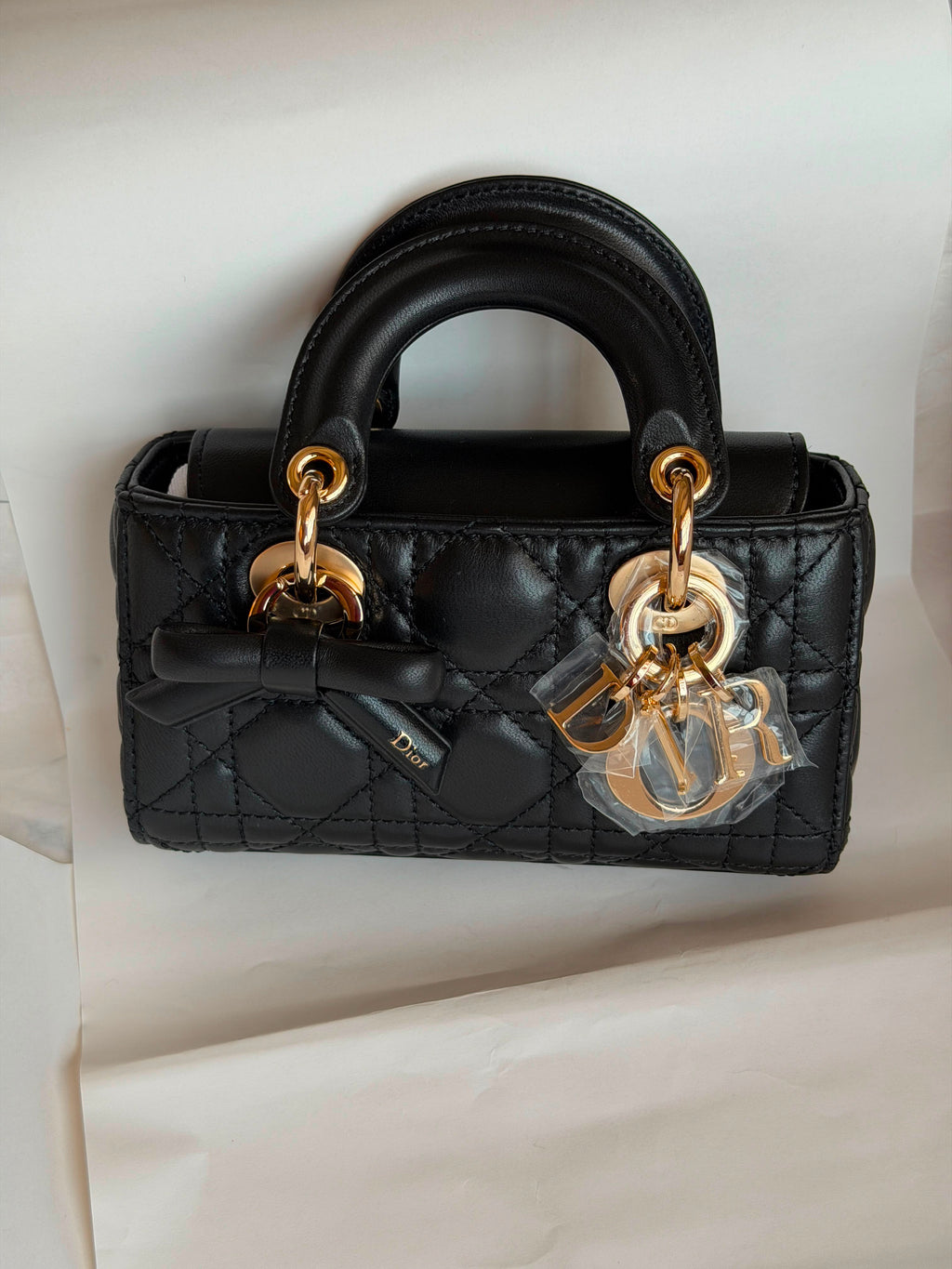 Christian Dior Lady D-Joy Bag