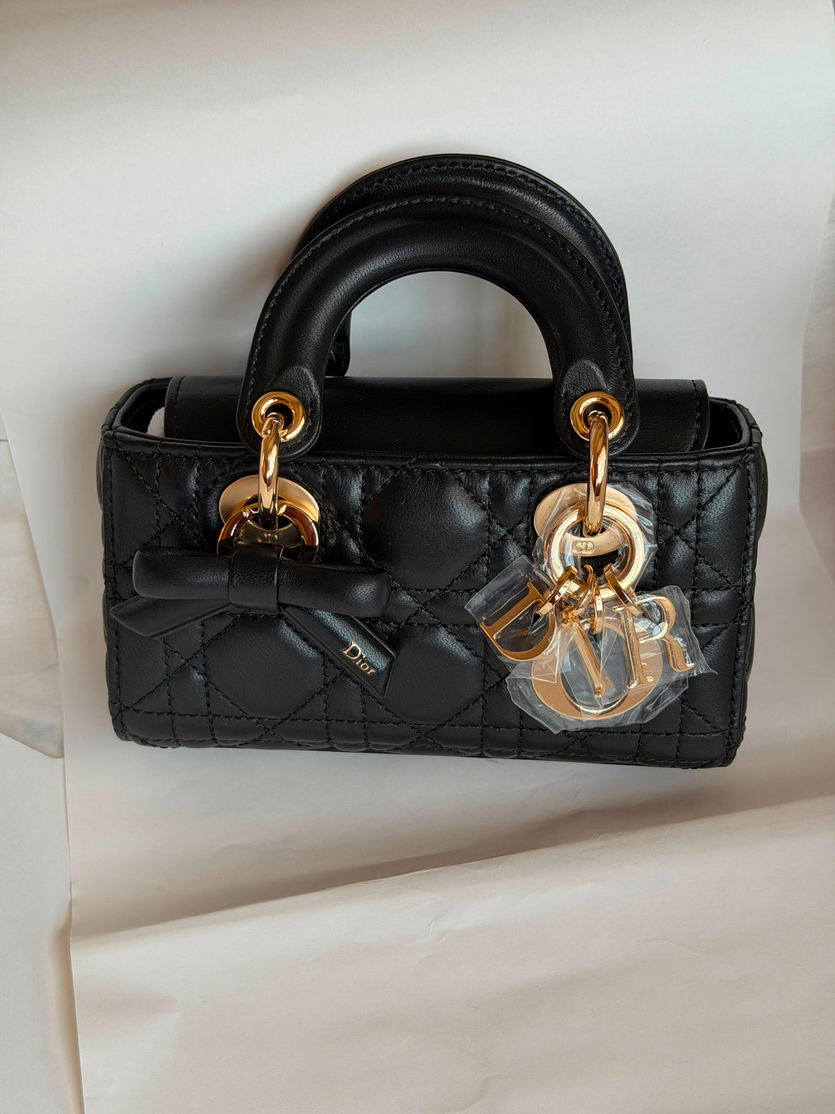Christian Dior Lady D-Joy Bag