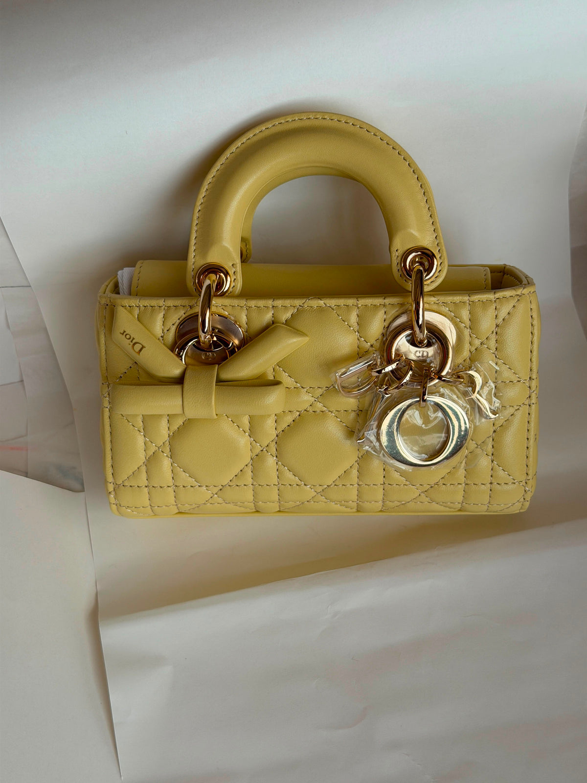 Christian Dior Lady D-Joy Bag