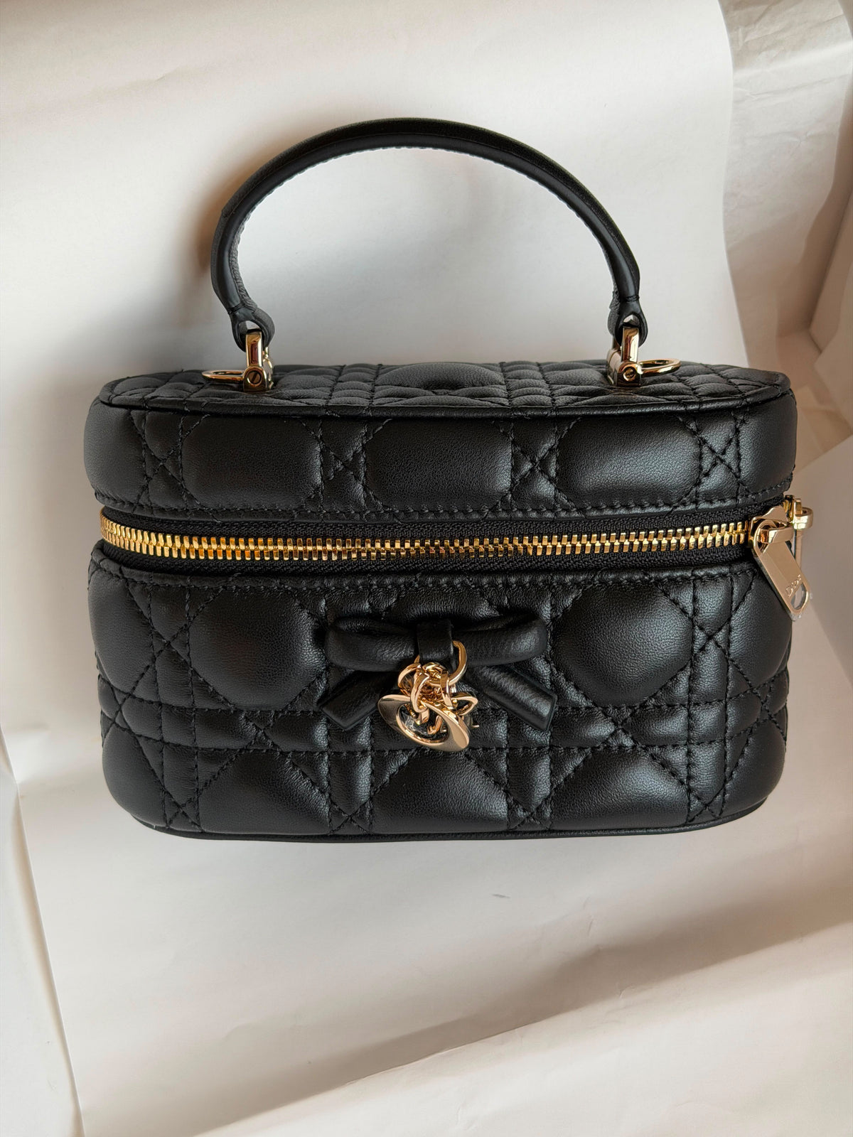 Dior Caro Mini Vanity Cases Bag