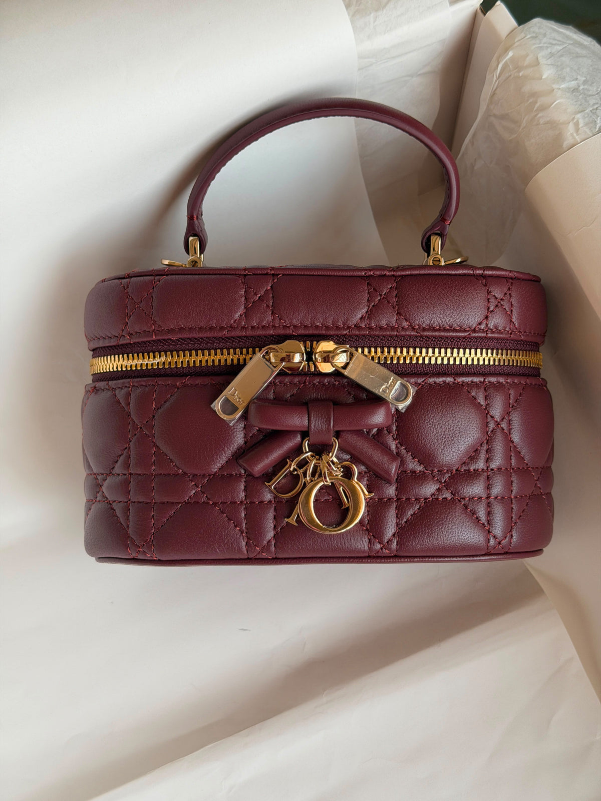 Dior Caro Mini Vanity Cases Bag
