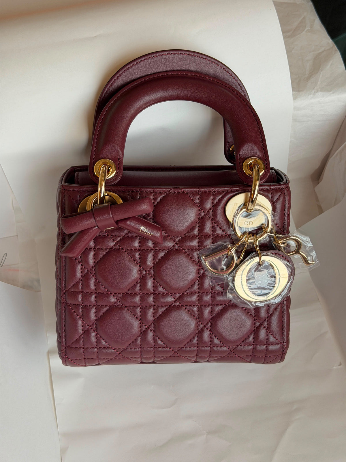 Mini Lady Dior Bags with Chain